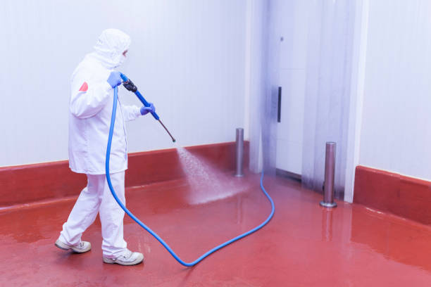 Best Concrete Sealing  in Newton, IA
