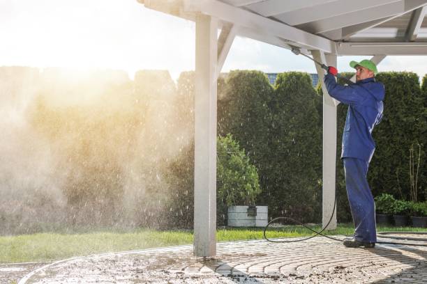 Best Gutter Cleaning  in Newton, IA